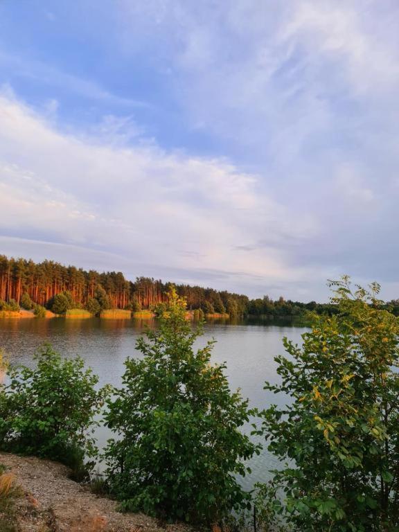 Agroturystyka U Siwego Rokitki  Exterior photo